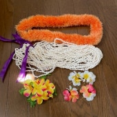 7�� �ե���󥹰���  ���������꡼