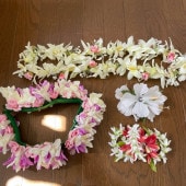 4�� �ե���󥹰���  ���������꡼