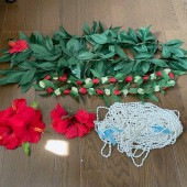 5�� �ե���󥹰���  ���������꡼