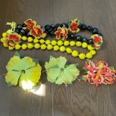 5�� �ե���󥹰���  ���������꡼