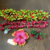 4�� �ե���󥹰���  ���������꡼