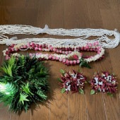 5�� �ե���󥹰���  ���������꡼