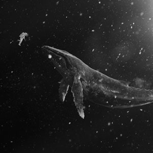 韓国音楽 EXO (エクソ) - 冬スペシャルアルバム 「SING FOR YOU