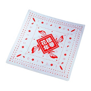 先払いのみ）韓国スターグッズ 防弾少年団（BTS）2015 LIVE 「花