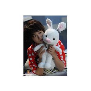 �ڹ�ɥ�ޥ��å� �����ʡ� �֥������Ǥ��͡פ֤�������Ͽ���̤������35cm DRMGD017
