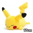 ����ʧ���Τߡ� ���ܥ��˥ᥰ�å� Pokemon XY�ʥݥ���� XY�� ���Ĥ֤��� �ԥ����奦 �̤�����ߡ�17cm��