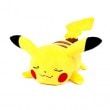 （先払いのみ） 日本アニメグッズ Pokemon（ポケモン） 眠れる ピカチュウ ぬいぐるみ（30cm）|Pokemon|キャラクターグッズ