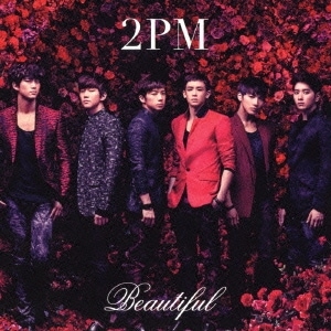 2PM CD アルバム　シングル　日本　韓国　まとめ売り 2PM CD アルバム シングル 日本 韓国 まとめ売り 2PM CD
