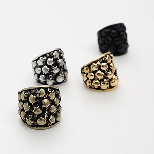 �ڹ񥹥��������������꡼ BEAST�Υ����������������󡦥��󥽥�st �ǥӥ� �������� ��� RING ���ء�12��1���