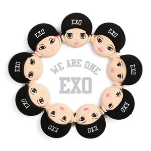 先払いのみ）韓国スターグッズ EXO（エクソ） OFFICIAL GOODS