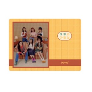 先払いのみ）韓国スターグッズ Apink（エーピンク） 6th PANDA