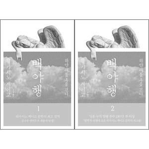 韓国語版 日本小説 白夜行 ハードカバー 全2巻1択 韓国版本 小説 漫画 日本小説 韓流ショップ
