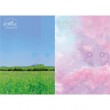 韓国音楽 BTOBのソ・ウングァン 初ソロアルバム - FoRest : Entrance (バージョン選択/CD+ブックレット80P+ホルダー1種+ポストカード1種+フォトカード1種+ブックマーク1