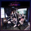 韓国音楽 BOTOPASS (ボトペス) - Flamingo (デビューシングルアルバム/CD+フォトブック+フォトカード2種)|B|CD 女性アーティスト
