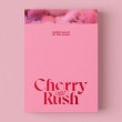 韓国音楽 Cherry Bullet (チェリーバレット) - Cherry Rush (1STミニアルバム/CD+ブックレット96P+スライドフィルム1種+ポストカード7種+フォトカード1種)|C|