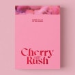 ڹ񲻳 Cherry Bullet (꡼Хå) - Cherry Rush (1STߥ˥Х/CD+֥åå96P+饤ɥե1+ݥȥ7+եȥ1)