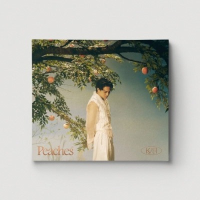 EXO カイ フォトブック ふんわりとしたそらさま専用！ EXO