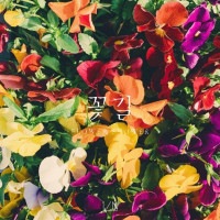 韓国音楽 1/N (N分の1) - 花道|N|CD 男性アーティスト