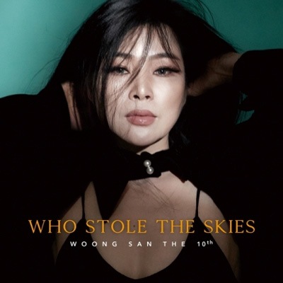 韓国音楽 WOONG SAN (ウンサン) - 10集 「Who Stole the Skie