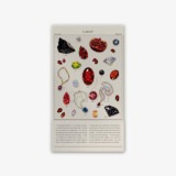 ����ʧ���Τߡ˴ڹ񥭥�饯�������å� �����CARAT ����åȡ� �������å� ���Х��ƥå���