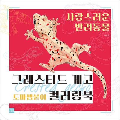 Rhacodactylus ミカドヤモリ　洋書12/15迄の限定値下価格！ 韓国書籍 神秘的で華やかなオウカンミカドヤモリで出会うカラーリング