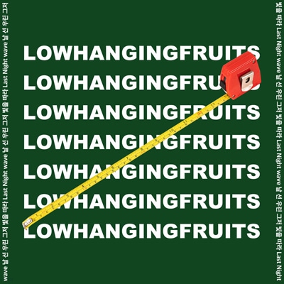 �ڹ񲻳� Low Hanging Fruits (�����ϥ󥮥󥰥ե롼��) - Today From Past Days