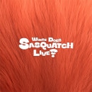 韓国音楽 Zior Park (ジオール・パク) - WHERE DOES SASQUATCH LIVE? (2CD+フォトブック48P+フォトカード2種+折りたたみポスター1種)
