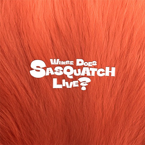 韓国音楽 Zior Park (ジオール・パク) - WHERE DOES SASQUATCH LIVE