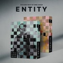 韓国音楽 ASTROのチャ・ウヌ - 1stミニアルバム 「ENTITY」 (バージョン選択/CD+フォトブックセット+折りたたみポスター1種+フォトカードセット+ステッカー1種+DIY ENTITY