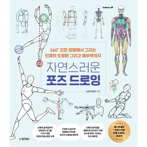 韓国書籍 360°全ての方向から描く人体の図形化、そして解剖学まで