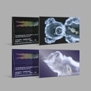 韓国音楽 LE SSERAFIM (ルセラフィム) - 4thミニアルバム 「CRAZY」 Weverse Albums Ver. (ランダム発送/QRフォトカード1種+Aフォトカード4種+Bフォトカ