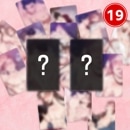 ����ʧ���Τߡ˴ڹ񥭥�饯�������å� �ְ�ͧ�Ȥδ�̯�ʺƲ�� �������å� 19��Ver. �ե��ȥ����� 2�糧�å� [������]