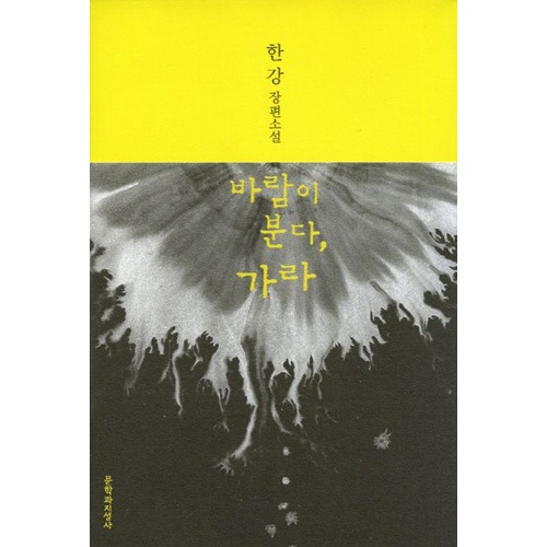 韓国書籍 2024 ノーベル文学賞受賞作家、ハン・ガン小説 「風が吹く