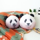 ����ʧ���Τߡ˴ڹ񥭥�饯�������å� [EVERLAND ���С�����] �������å� �ա��Х� / �륤���ե� �ե��������å���� (2��1��)