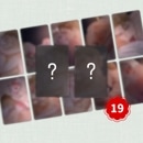 [�ޤȤ��㤤���] �ڹ񥭥�饯�������å� ��Antidote ������ɡ��ȡ� �������å� 19��Ver. �ե��ȥ����� 2�糧�å� [������]