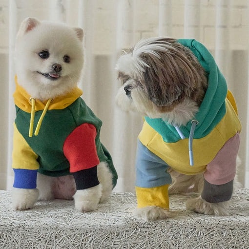 先払いのみ）ペット用品 SUPER PET (スーパーペット) 起毛 カラフル