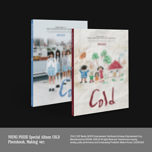ポロロ韓国版DVDセットとポップアップカード　韓国学習テキスト初心者 Amazon.co.jp: ポロロ カードブック カード 本 絵本 ハングル