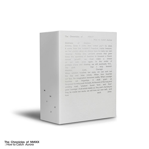 【新品未開封】The Chronicles of NMIXX PHOTOBOOK 韓国スター写真集 NMIXX (エンミックス) The Chronicles of
