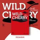 韓国音楽 ICHILLIN' (アイチリン) - 4th ミニアルバム 「WILD CHERRY」 POCA ALBUM (予約 発売日：2025.08.04以後)