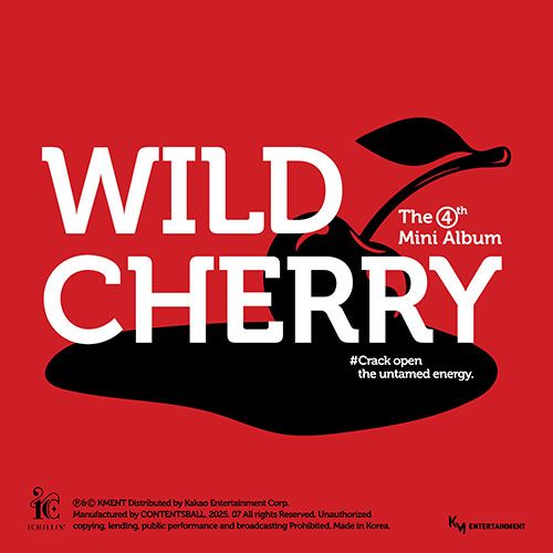 廃盤 CD イ・ジョク 4集 - 愛 韓国盤 廃盤 CD イ・ジョク 4集 - 愛 韓国盤 Amazon.co.jp: イ・ジョク