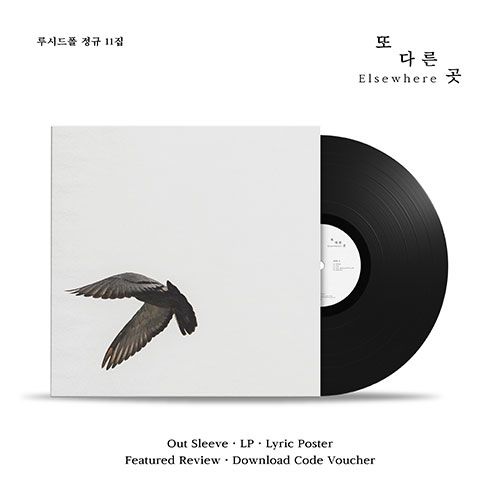 韓国音楽 Lucid Fall (ルシッド・フォール) - 11集 「他の所」 LP