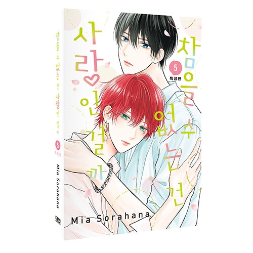 韓国語版）日本マンガ たまらないのは恋なのか 5 特装版 | 韓国版本