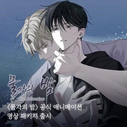水辺の夜　フィルムパッケージ　フォトパッケージ　入場特典　韓国BL 水辺の夜」 公式アニメ映像パッケージ (予約 発売日：2026.06.30以後