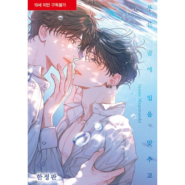 韓国語版）日本マンガ 青藍の夜にくちづけて 限定版 | 韓国版本 （小説
