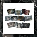 [�ޤȤ��㤤�������ŵ£��] ��DEATH NOTE �ǥ��Ρ��ȡ� ��������顼 �ե��ȥ����� [������2��]