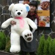 （先払いのみ） 韓国ぬいぐるみ ベストベア ぬいぐるみ120cm＋ミヤンイぬいぐるみ＆ハートクッション 3種セット / ジャイアント白熊