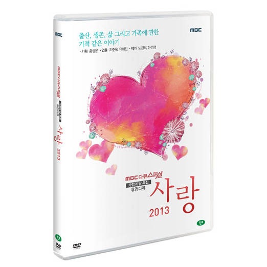 ڹɥ󥿥꡼ 2013ҥ塼ޥɥ󥿥꡼DVD2DISCˡࡦʥॸʤɥʥ졼󻲲   DVDDQ19