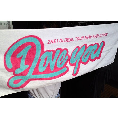 韓国スターグッズ 2NE1（トゥ・エニィワン）NEW EVOLUTION - 応援