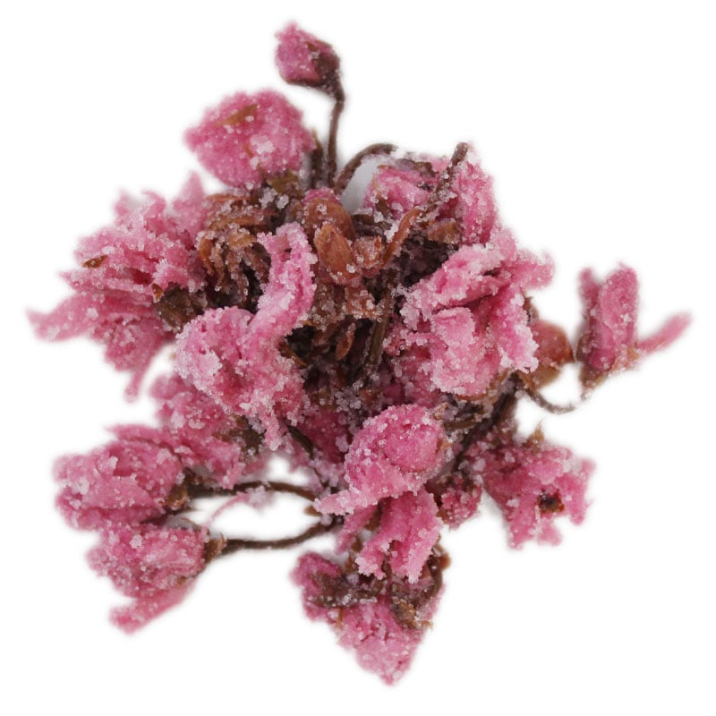 Salenew大人気 長野県産 桜の花塩漬 500g 業務用 国産 さくら 桜花 八重桜 関山 常温 Materialworldblog Com