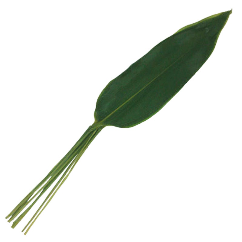 ������ ���դ� 10�硡